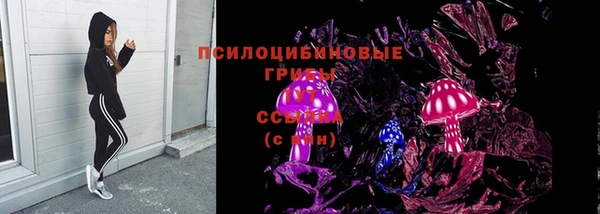 спайс Беломорск