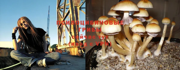 спайс Беломорск